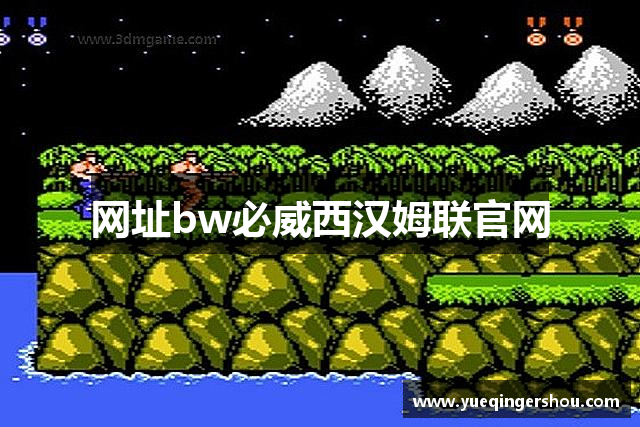 网址bw必威西汉姆联官网